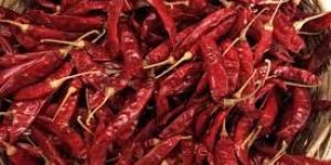 Sannam Dried Red Chilli