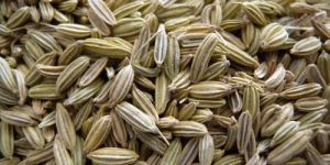 Fennel Seeds