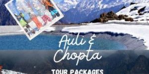 Tour Operators