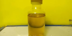 Organic Onion Hair Oil