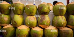 Green Tender Coconut