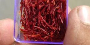 Kashmiri Mogra Saffron