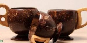 Coconut Shell Coffee Cup