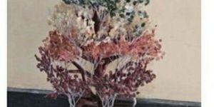 Natural Seven Chakra Crystal Tree Stone