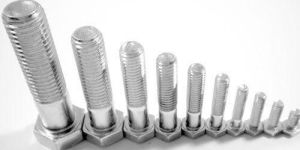 Stainless Steel Bolt