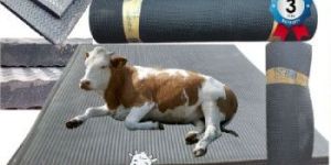 Cow Mats
