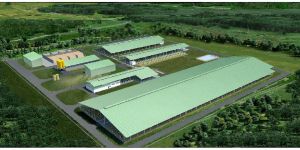 Dairy Farming Consultancy