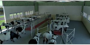 Milking Parlor