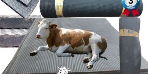 Rubber Cow Mat