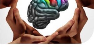 Psychologist Counselor