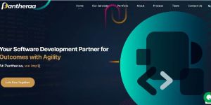 Best Web Development Services