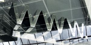 Dynamic Web Designing