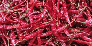 Dry Red Chilli