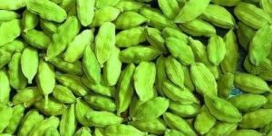 Cardamom
