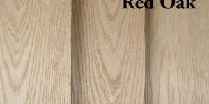 Red Oak Wood
