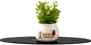 MOTOZOOP Car Dashboard Flower Pot (White)