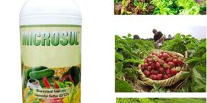 Microsul Organic Micronised Liquid Sulfur