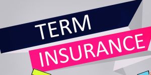 Term Insurance Plans