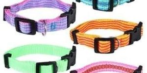 Small Adjustable Dog Collars