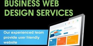 Business Website Design Service