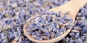 Lavender Seeds