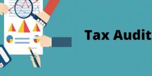 Tax Audit Services