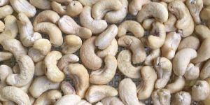 Broken Cashew Nuts