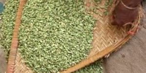 Organic Cardamom