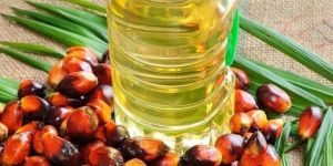 Palm Olein Oil
