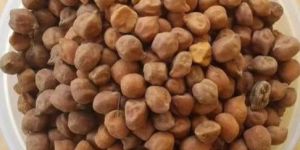 Brown Chana