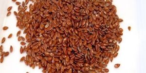 Flax Seeds