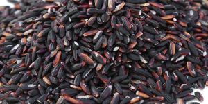 Black Rice