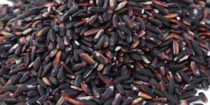 Black Non Basmati Rice