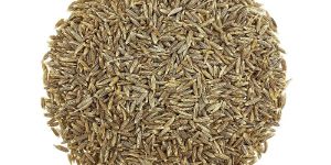 Cumin Seeds
