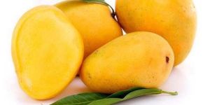 Fresh Mango