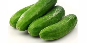 Organic Cucumber