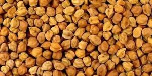 Bengal Gram Grade No 1