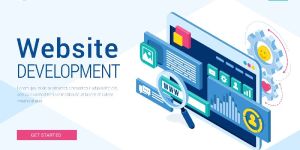 Web Portal Development
