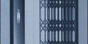 Manual Door Passenger Elevator