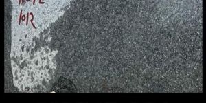 Majestic Black Granite Stone