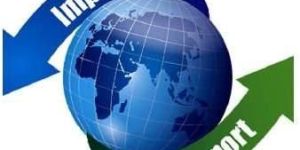 Government Import Policy