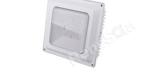 Renesola LED Canopy Light