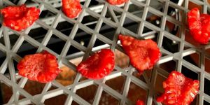 Dehydrated Raspberries
