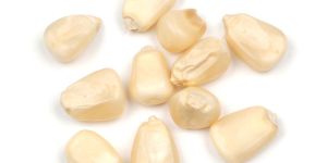 Dehydrated White Corn
