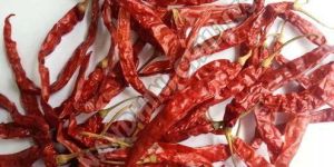 273 Dried Red Chilli with Stem