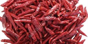 Dried Teja Red Chilli without Stem