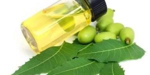 Neem Oil