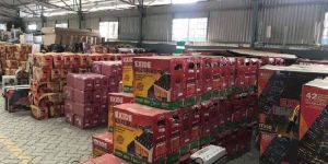 Solar Inverter Battery