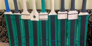 Gama Cricket Bat