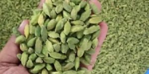 Green Cardamom